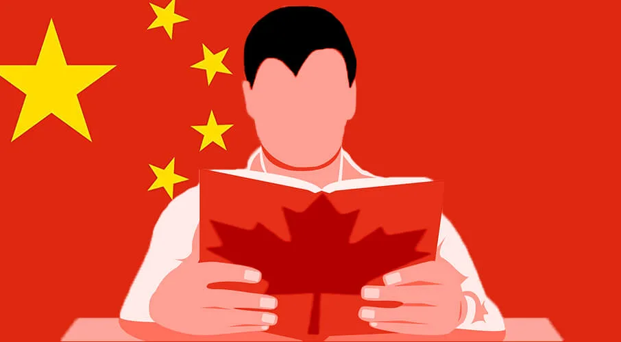 Illustration of a person reading a book